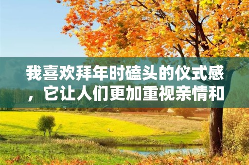 我喜欢拜年时磕头的仪式感，它让人们更加重视亲情和友情—新年拜年经典句子61句