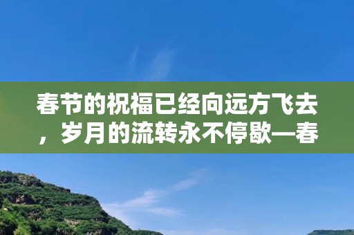 春节的祝福已经向远方飞去，岁月的流转永不停歇—春节要过去的句子103句