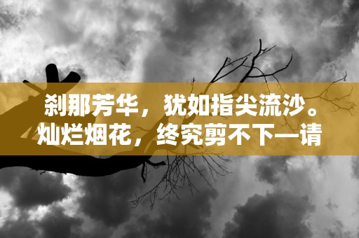 刹那芳华，犹如指尖流沙。灿烂烟花，终究剪不下—请你看烟花的句子收藏60条