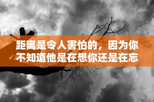 距离是令人害怕的，因为你不知道他是在想你还是在忘记你—情侣周末约会幽默风趣的句子锦集