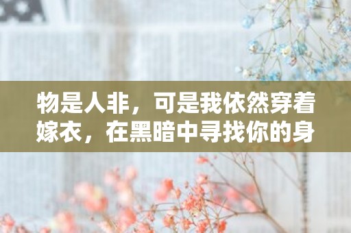 物是人非，可是我依然穿着嫁衣，在黑暗中寻找你的身影—点燃青春激情的英雄联盟台词文案