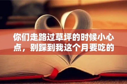 你们走路过草坪的时候小心点，别踩到我这个月要吃的土—兜里没钱的幽默句子通用50条