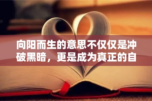 向阳而生的意思不仅仅是冲破黑暗，更是成为真正的自己—积极学习的励志句子45句