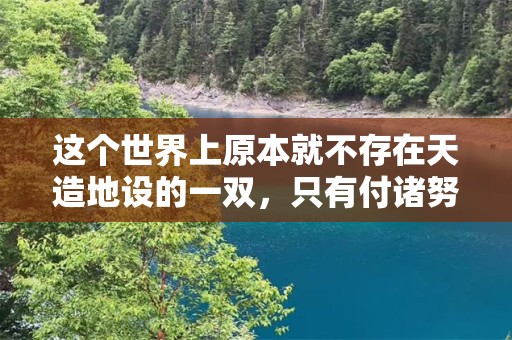 这个世界上原本就不存在天造地设的一双，只有付诸努力成为越来越适合彼此的对方—最经典的爱情语录短句