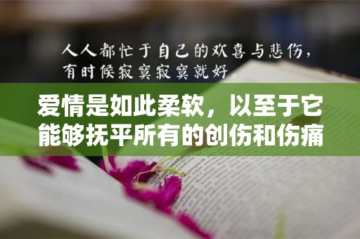 爱情是如此柔软，以至于它能够抚平所有的创伤和伤痛—爱情的句子集锦200句