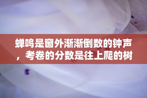 蝉鸣是窗外渐渐倒数的钟声，考卷的分数是往上爬的树藤—适合女孩子夏天发朋友圈的唯美文案摘录六十条-第1张图片-觅纤