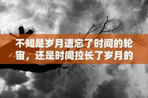 不知是岁月遗忘了时间的轮宙，还是时间拉长了岁月的影子—关于岁月的唯美句子107句