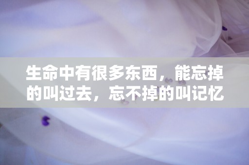 生命中有很多东西，能忘掉的叫过去，忘不掉的叫记忆—无助又必须坚强的句子-第1张图片-觅纤