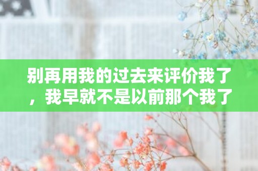 别再用我的过去来评价我了，我早就不是以前那个我了—人无助时的心酸句子集合