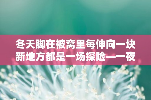 冬天脚在被窝里每伸向一块新地方都是一场探险—一夜之间降温只有几度的文案-第1张图片-觅纤