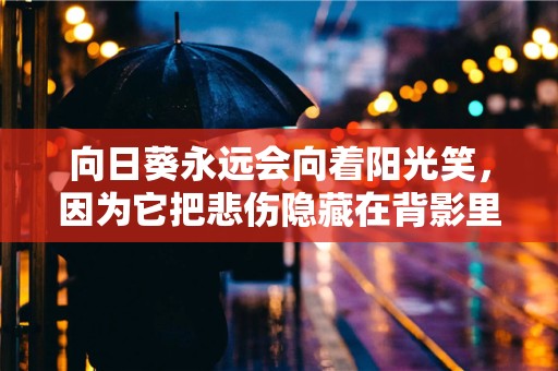 向日葵永远会向着阳光笑，因为它把悲伤隐藏在背影里—十月心情短语文案大全