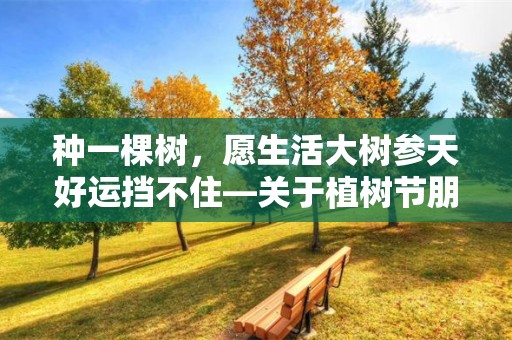 种一棵树，愿生活大树参天好运挡不住—关于植树节朋友圈文案 