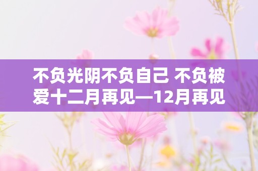 不负光阴不负自己 不负被爱十二月再见—12月再见1月你好说说句子