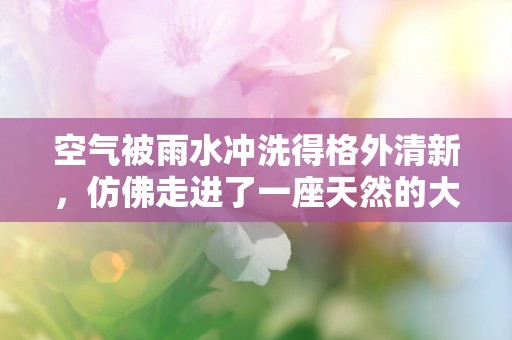 空气被雨水冲洗得格外清新，仿佛走进了一座天然的大氧吧—形容清晨的优美文案