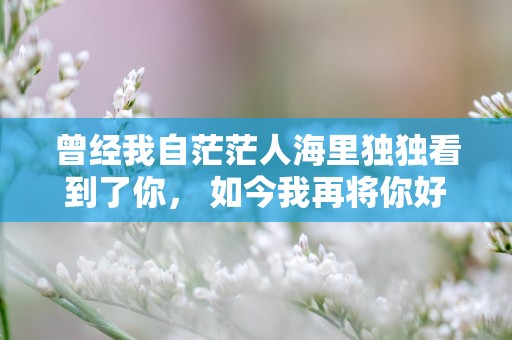 曾经我自茫茫人海里独独看到了你， 如今我再将你好好地还回人海里—暗示已经分手的高级文案