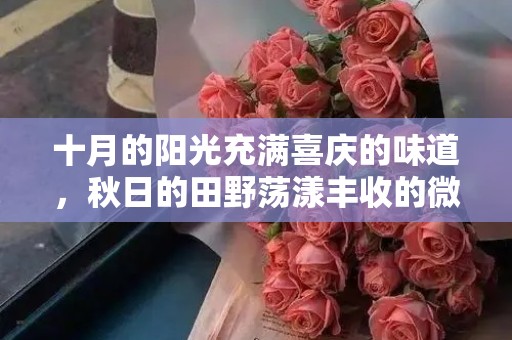 十月的阳光充满喜庆的味道，秋日的田野荡漾丰收的微笑—国庆节适合发朋友圈的文案