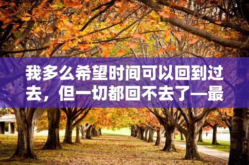 我多么希望时间可以回到过去，但一切都回不去了—最新在乎你的人的句子