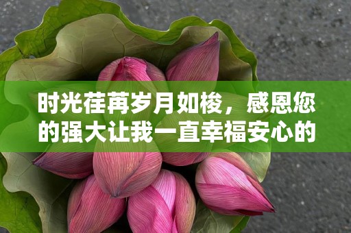 时光荏苒岁月如梭，感恩您的强大让我一直幸福安心的生活—祝愿祖国快乐的句子106句