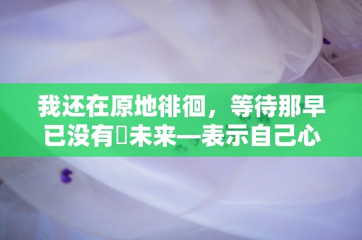 我还在原地徘徊，等待那早已没有旳未来—表示自己心情不好的句子